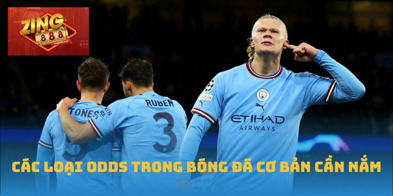 Hiểu Rõ Odds Trong Bóng Đá Để Chiếm Ưu Thế Khi Đặt Cược 1 Các loại Odds trong bóng đá cơ bản cần nắm
