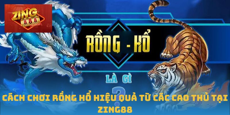Hướng Dẫn Chi Tiết Cách Chơi Rồng Hổ Tại Zing88 Hiệu Quả 3 Cách chơi Rồng Hổ hiệu quả từ các cao thủ tại Zing88