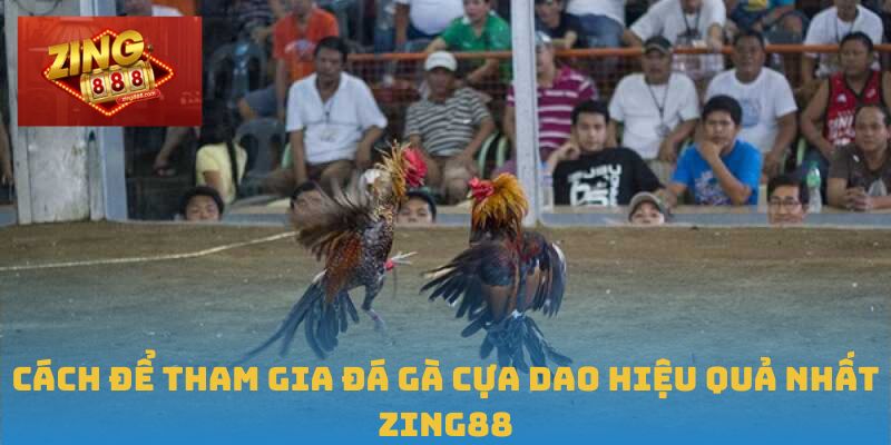 Cách để tham gia đá gà cựa dao hiệu quả nhất Zing88