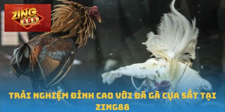 Đá gà cựa sắt