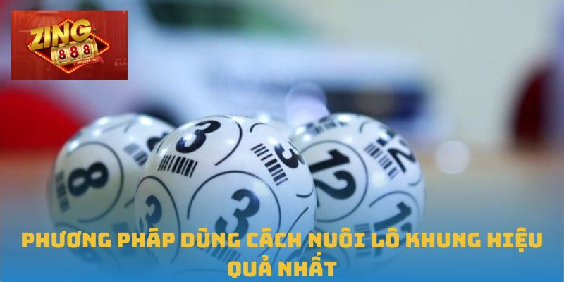 Chiến Lược Nuôi Lô Khung Hiệu Quả Từ Dân Chuyên Tại Zing88 2 Phương pháp dùng cách nuôi lô khung hiệu quả nhất