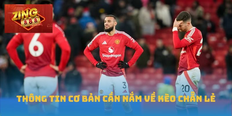 Thông tin cơ bản cần nắm về kèo chẵn lẻ